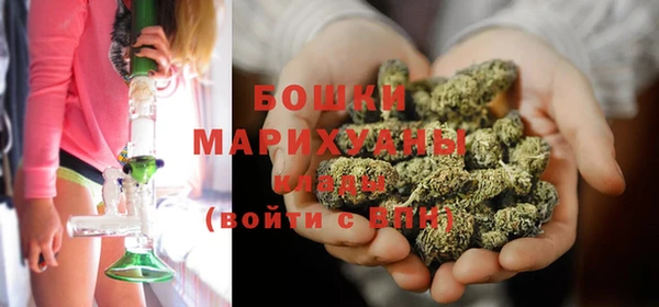 дживик Осинники