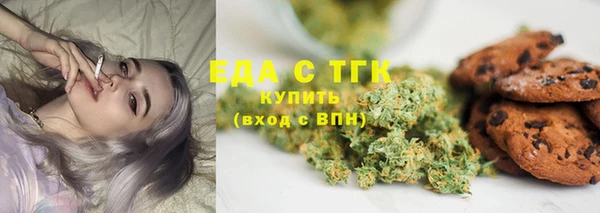 дживик Осинники