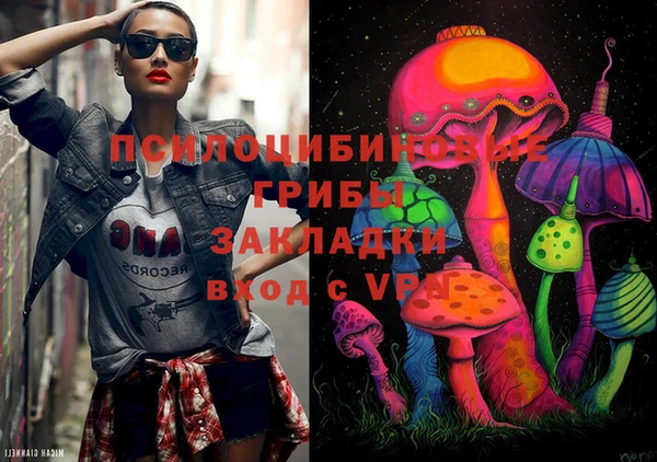 дживик Осинники