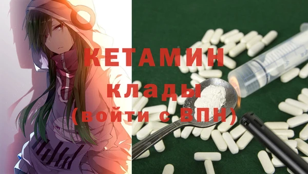 крисы Няндома