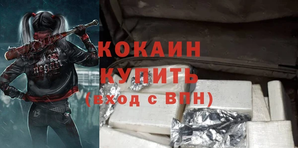 дживик Осинники
