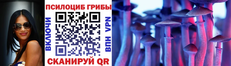 купить  цена  OMG ссылка  Псилоцибиновые грибы прущие грибы  Нюрба 